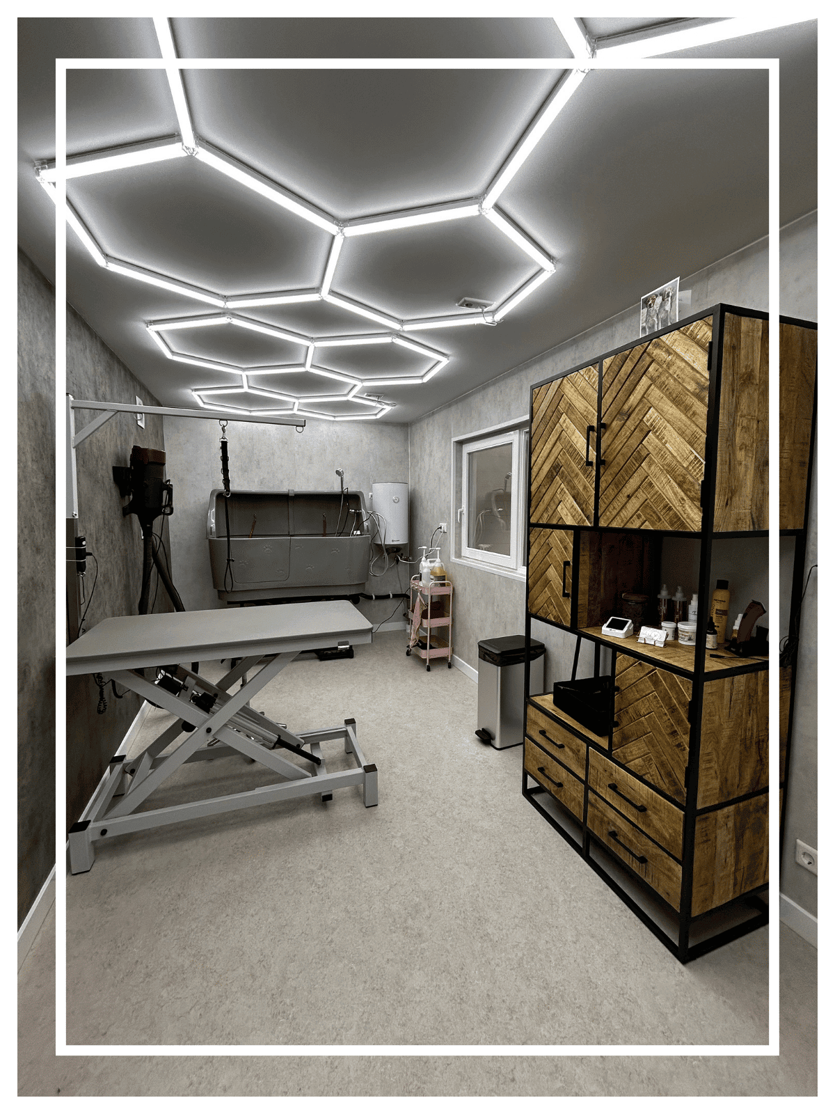 Hondentrimsalon in Lunteren