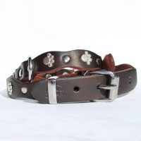 Halsband Pawsome