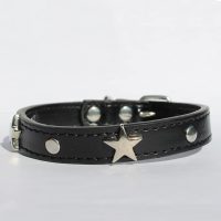 Halsband hond met ster