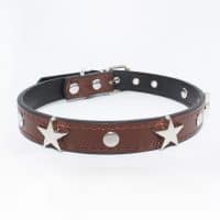 Halsband a star is born - bruin
